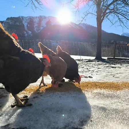 Bauernhof Sonnenhuab * Санкт-Файт (Понгау)