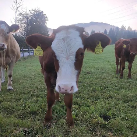 Apartman Bauernhof Sonnenhuab