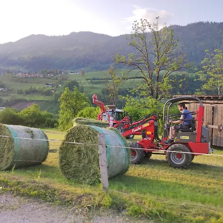 Lägenhet Bauernhof Sonnenhuab
