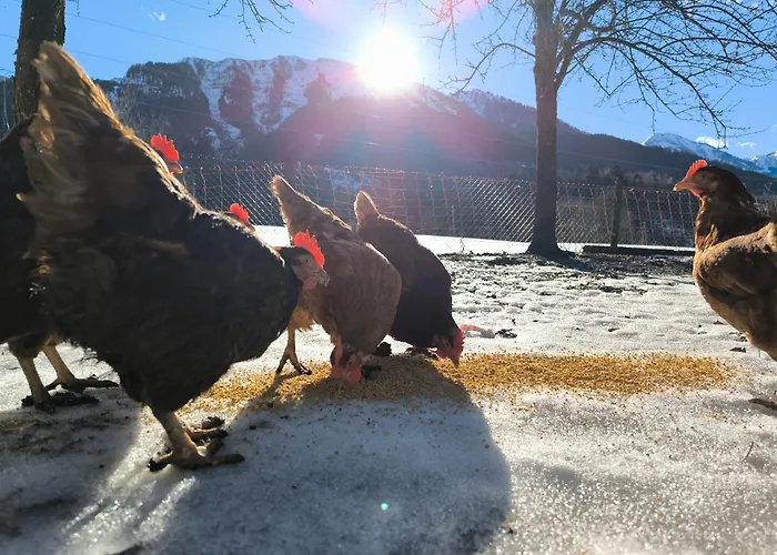 Bauernhof Sonnenhuab * Санкт-Файт (Понгау)