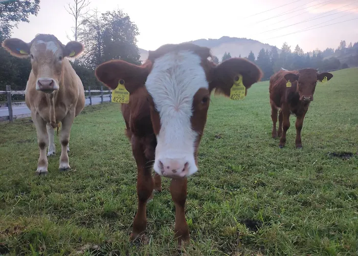 Апартаменты Bauernhof Sonnenhuab