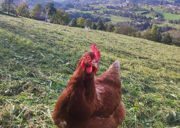 Bauernhof Sonnenhuab