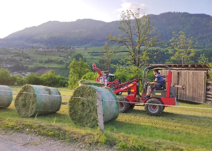 Lägenhet Bauernhof Sonnenhuab